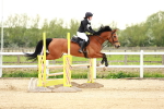 SBM_009513