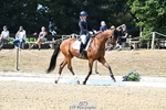 071-Abbie.NewburySeagry.Viceroy portfolio