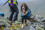 Matterdale-264