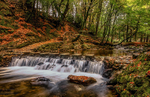 Tollymore Forest Park portfolio