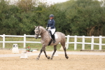 SBM_00626