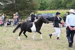 WJ6_5547