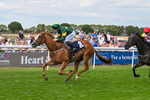 130825-Race 4-Rock Of England-1253