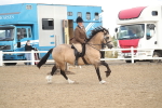 SBM_14567