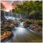 Crumlin Glen (IMG0700)