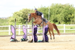 Class 6 - National B&C Handicap Championship Qualifier - 1.25m portfolio