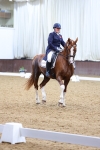 SBM_009438