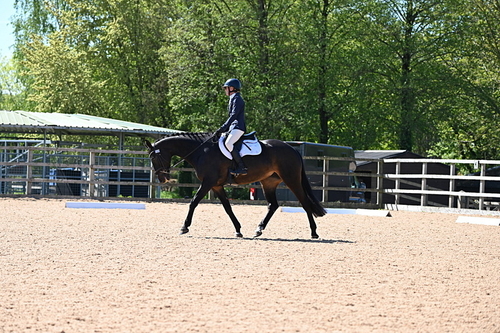 WJ6_8880
