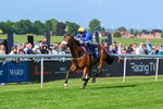 270526-Race 7-King Of The Jungle-3712