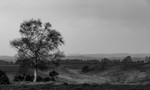 The Valley Beyond