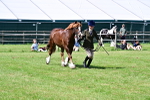 SBM_08054