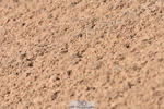 230810A-124532-01128