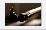 The Millenium Double Bass IV