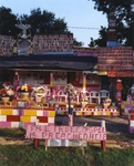 The True Gospel Preached Here, Mississippi, 2007