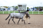 SBM_00255
