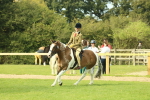 SBM_68121