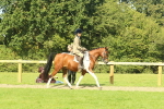 SBM_67398