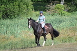 WJ7_3287