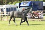 SBM_00760