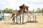 SBM_003438