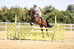 SBM_008038