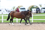SBM_01516