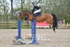 BPP_3619