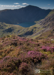 Moorland view, Cwm Cau