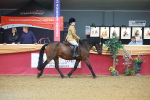 SBM_09608