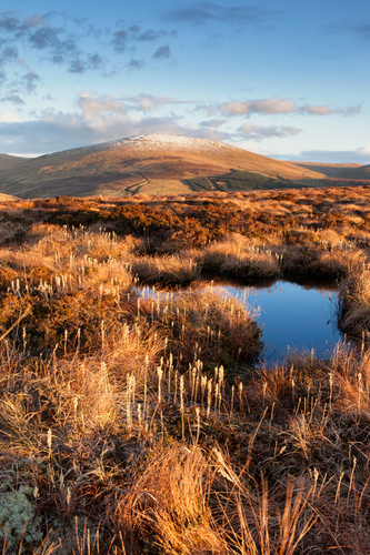 A slight covering of March snow on Snaefell as the last rays of the day catch the upland grasses to give a display o…