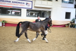 SBM_23434