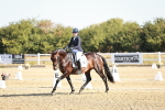 SBM_016875