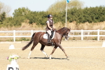 SBM_017379