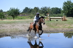WJ5_3352
