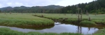 Down the stream