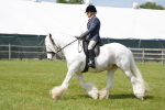SBM_17183