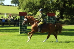 SBM_37449