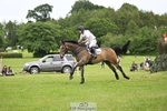 222-KILCANNON_SENSATION-Harry_Meade portfolio