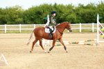 SBM_006529