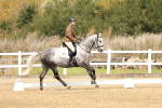 SBM_012430