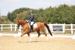 SBM_018323
