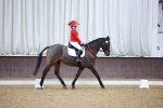 SBM_001919