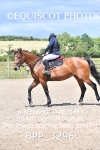 BPP_3296