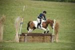 BVHT 140517  NXC -102