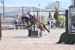 BPP_1165