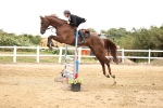 SBM_003265