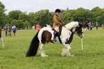 SIAL3243