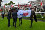 270724-Race 1-Alflaila-9514