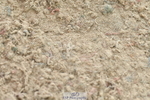 230721A-101803-05073
