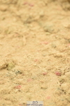 230610A-120630-03192